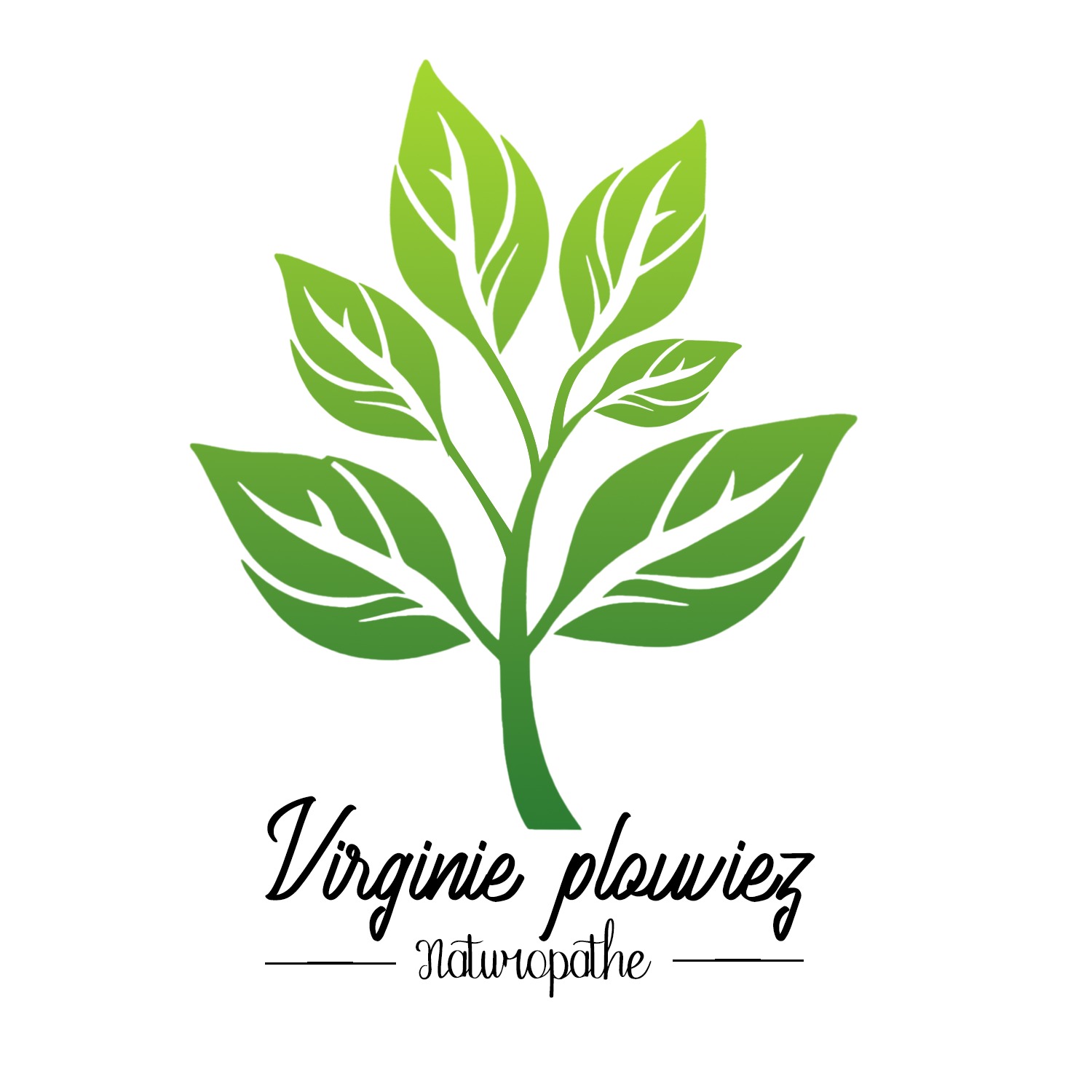 Logo Virginie Plouviez